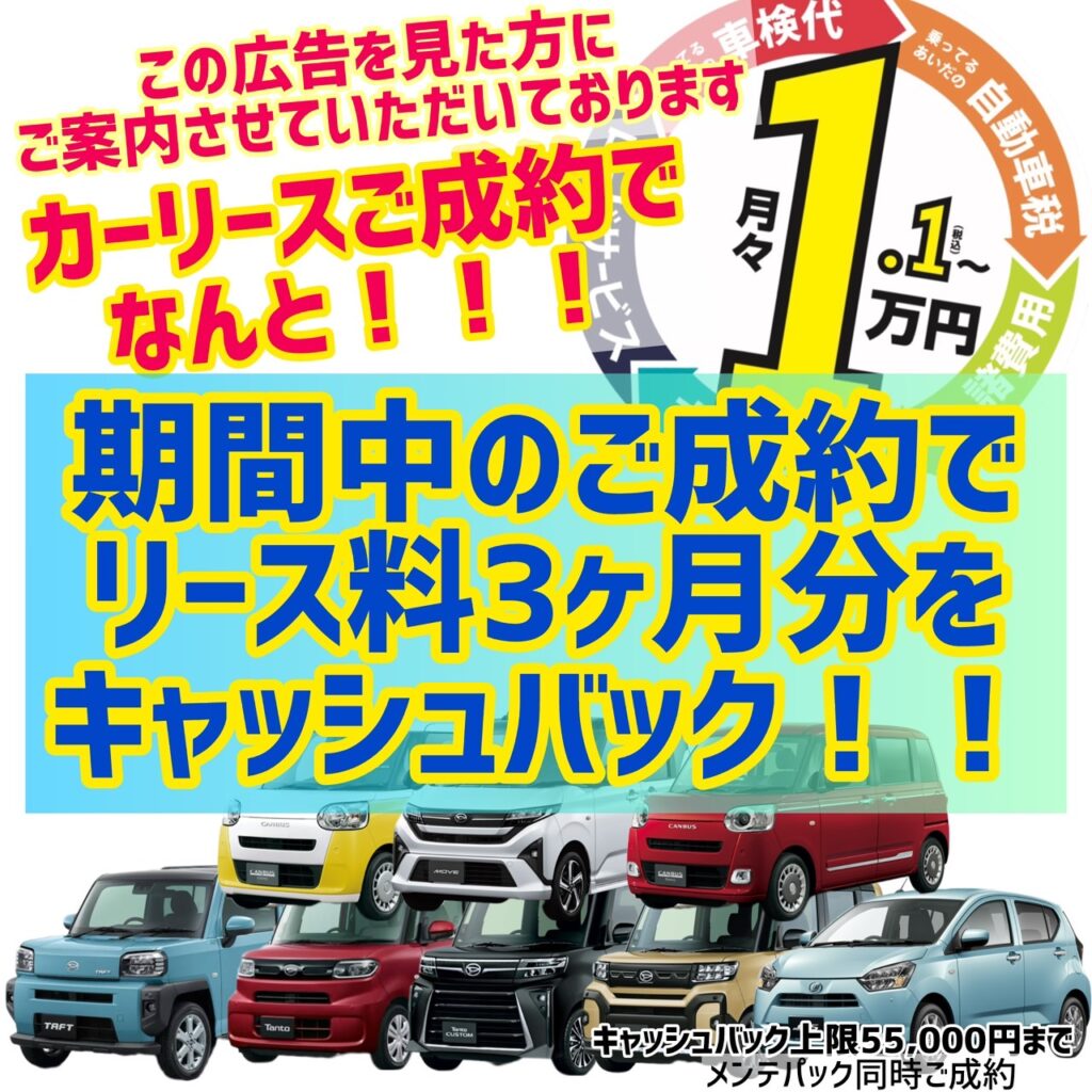 リース専門店の限定企画